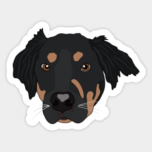 Setter Sticker